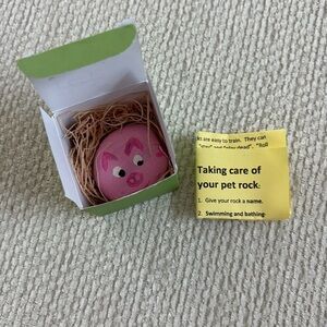 Pet rock